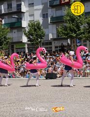 Cartaz: Quantos flamingos são precisos p/ fazer uma festa? :: Coração nas Mãos