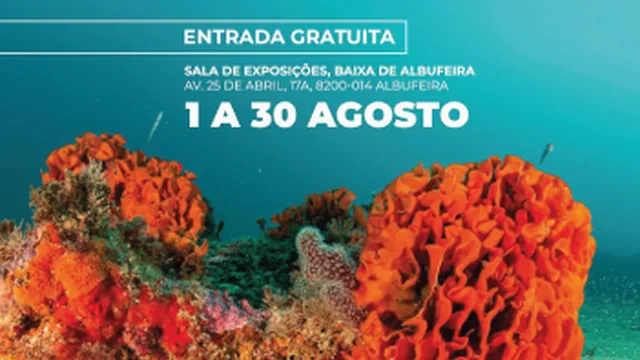 Cartaz: À Descoberta do Recife do Algarve
