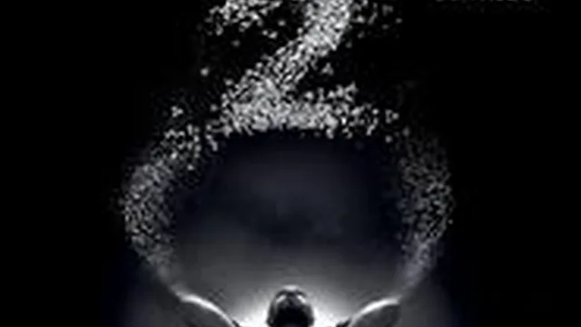 Cartaz: MURMURATION | LEVEL 2