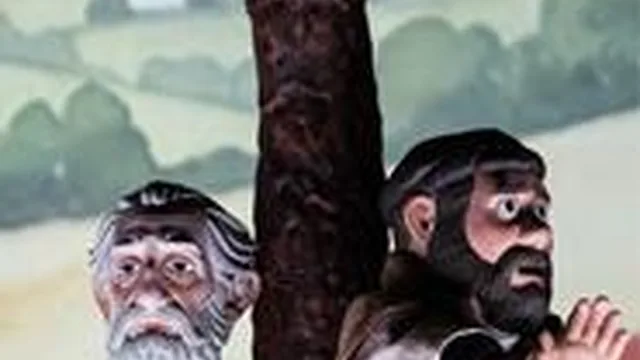 Cartaz: O Cavaleiro da Triste Figura