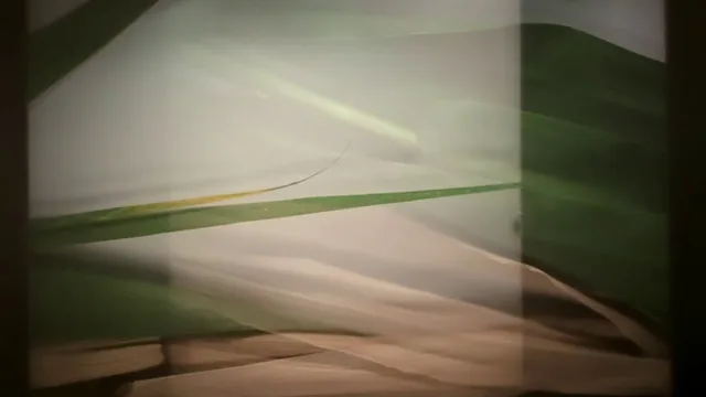 Imagem: Nuno Sousa Vieira