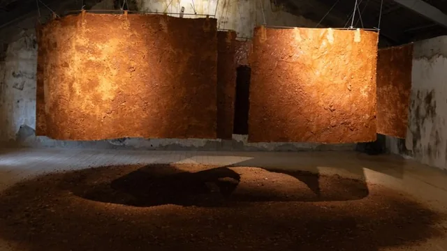 Imagem: Teatro Anatómico