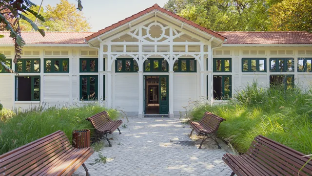Imagem: Agosto na Casa do Jardim da Estrela