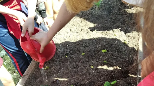 Imagem: Oficinas de sensibilização de jardinagem