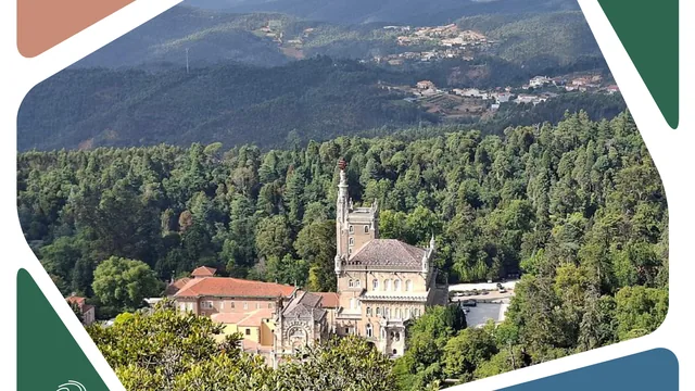 Imagem: Tardes Comunitárias - Património Vivo: Visita à Mata Nacional do Bussaco