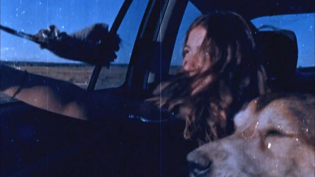Imagem: Traça - Mostra de Filmes de Família