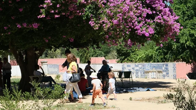 Imagem: O Domingo é na Quinta