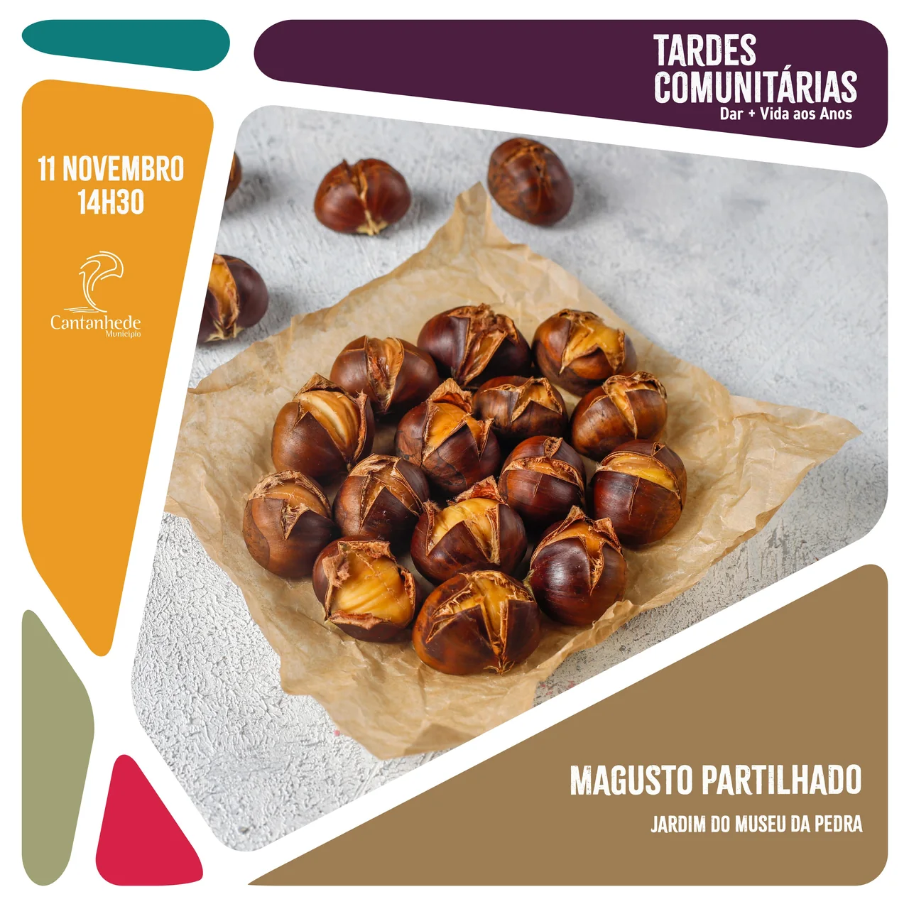 Imagem: Tardes Comunitárias - Magusto partilhado