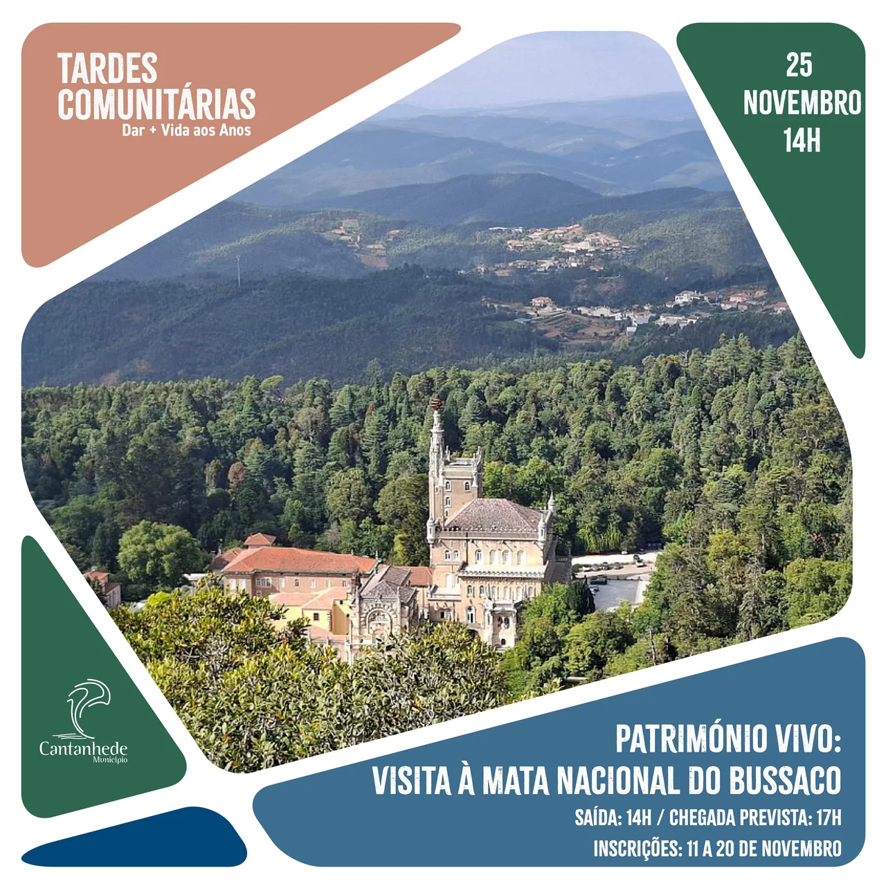 Imagem: Tardes Comunitárias - Património Vivo: Visita à Mata Nacional do Bussaco
