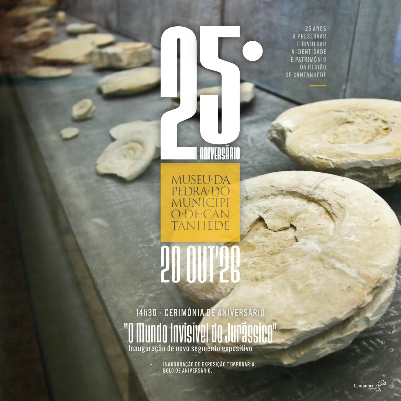 Imagem: 25º Aniversário do Museu da Pedra