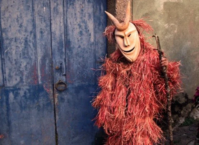 Imagem: Noémia Delgado, o cinema no singular