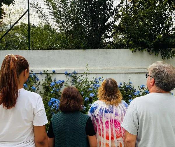 Imagem: Outubro na Casa do Jardim da Estrela