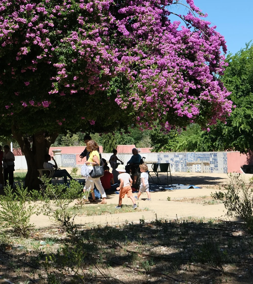 Imagem: O Domingo é na Quinta